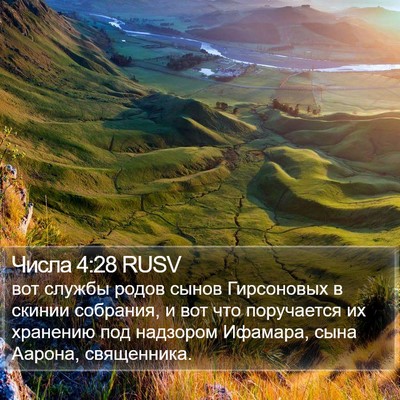 Числа 4:28 RUSV Bible Verse Image