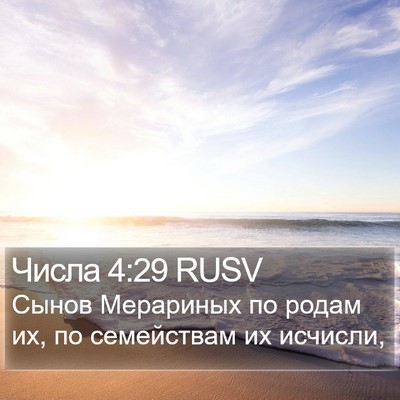 Числа 4:29 RUSV Bible Verse Image