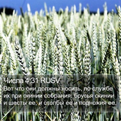Числа 4:31 RUSV Bible Verse Image