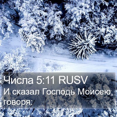 Числа 5:11 RUSV Bible Verse Image