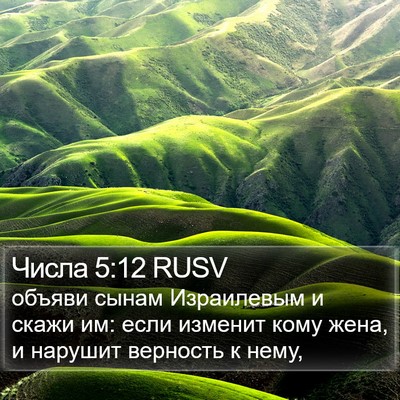 Числа 5:12 RUSV Bible Verse Image