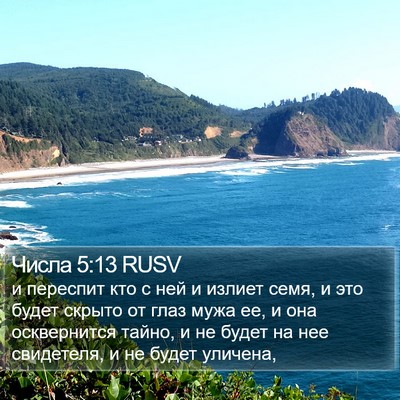 Числа 5:13 RUSV Bible Verse Image