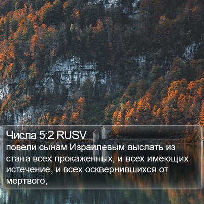 Числа 5:2 RUSV Bible Verse Image