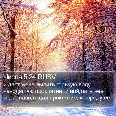 Числа 5:24 RUSV Bible Verse Image
