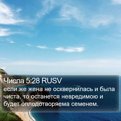 Числа 5:28 RUSV Bible Verse Image