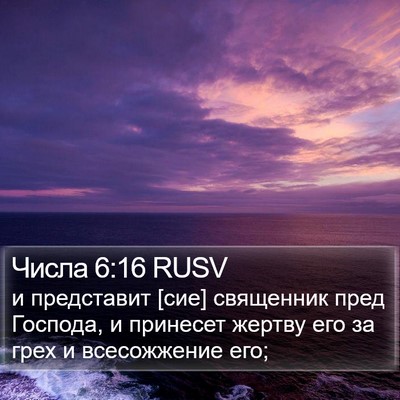 Числа 6:16 RUSV Bible Verse Image