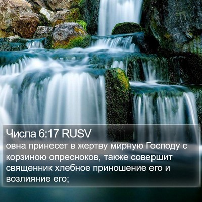 Числа 6:17 RUSV Bible Verse Image