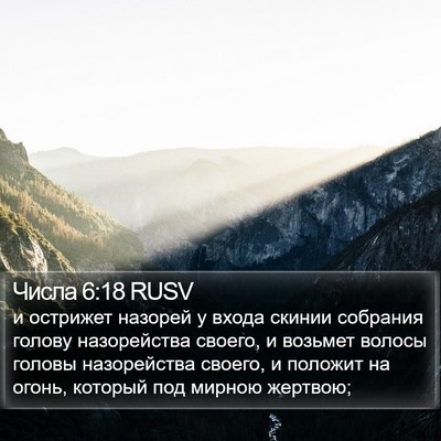 Числа 6:18 RUSV Bible Verse Image