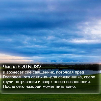 Числа 6:20 RUSV Bible Verse Image