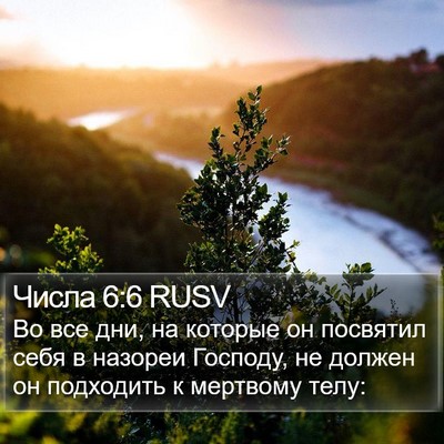 Числа 6:6 RUSV Bible Verse Image