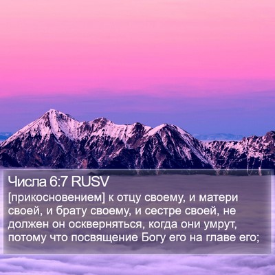 Числа 6:7 RUSV Bible Verse Image