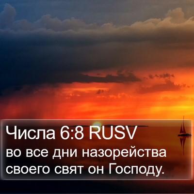 Числа 6:8 RUSV Bible Verse Image