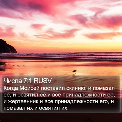 Числа 7:1 RUSV Bible Verse Image