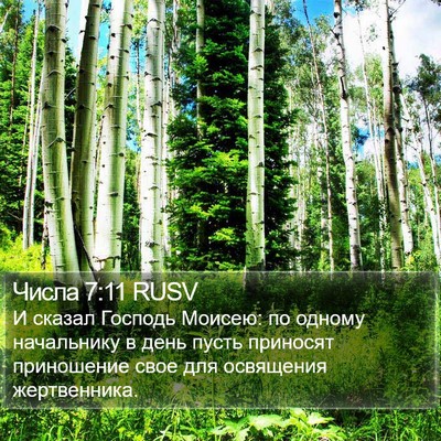 Числа 7:11 RUSV Bible Verse Image