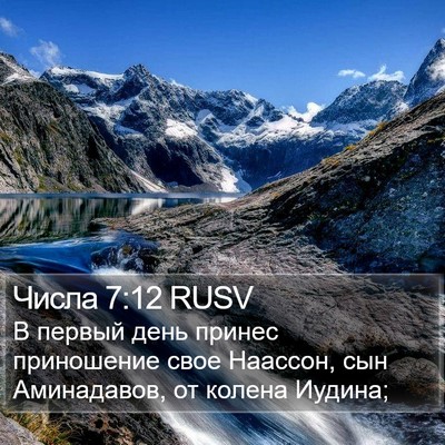 Числа 7:12 RUSV Bible Verse Image