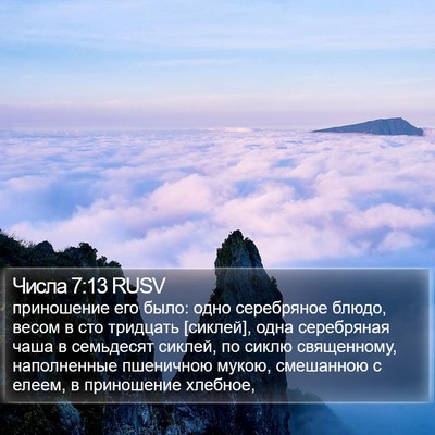 Числа 7:13 RUSV Bible Verse Image