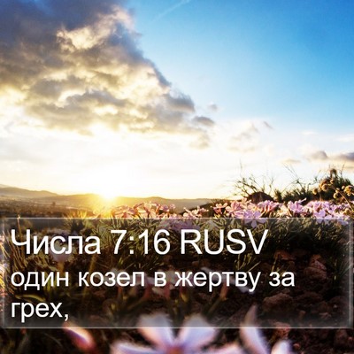 Числа 7:16 RUSV Bible Verse Image