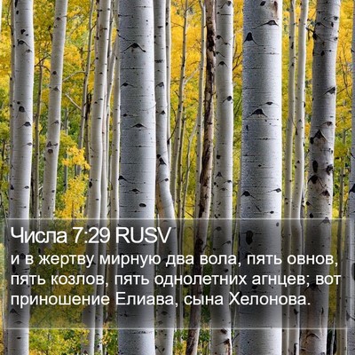 Числа 7:29 RUSV Bible Verse Image