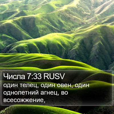 Числа 7:33 RUSV Bible Verse Image