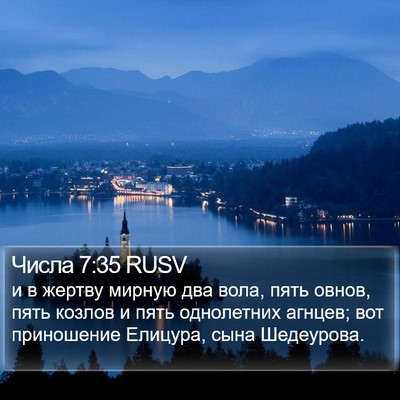 Числа 7:35 RUSV Bible Verse Image