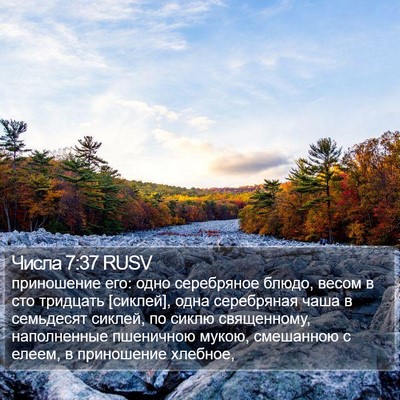 Числа 7:37 RUSV Bible Verse Image