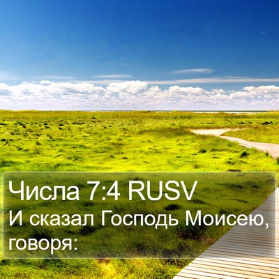 Числа 7:4 RUSV Bible Verse Image