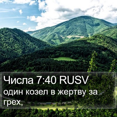 Числа 7:40 RUSV Bible Verse Image