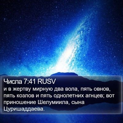 Числа 7:41 RUSV Bible Verse Image