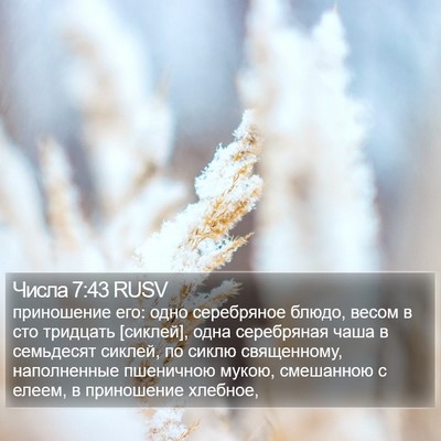 Числа 7:43 RUSV Bible Verse Image