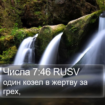 Числа 7:46 RUSV Bible Verse Image