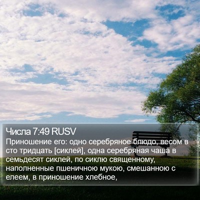 Числа 7:49 RUSV Bible Verse Image