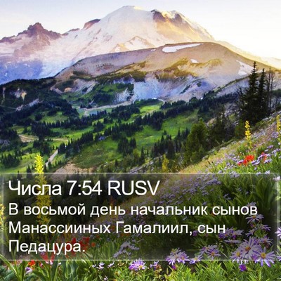 Числа 7:54 RUSV Bible Verse Image