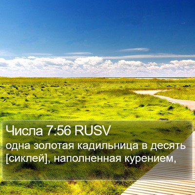 Числа 7:56 RUSV Bible Verse Image