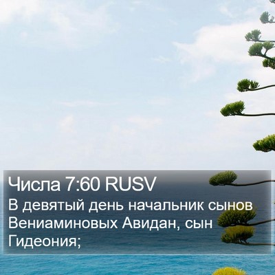 Числа 7:60 RUSV Bible Verse Image