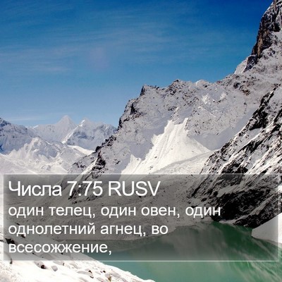 Числа 7:75 RUSV Bible Verse Image