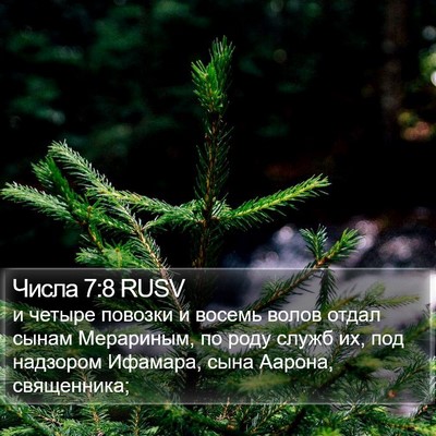 Числа 7:8 RUSV Bible Verse Image