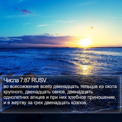 Числа 7:87 RUSV Bible Verse Image
