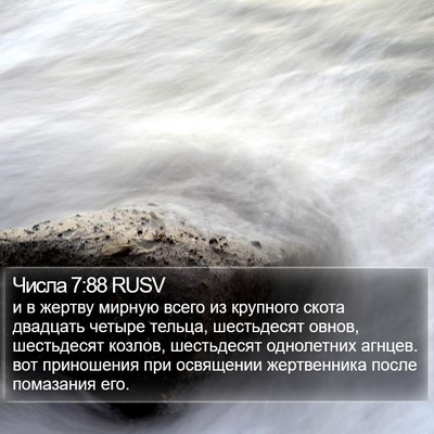 Числа 7:88 RUSV Bible Verse Image
