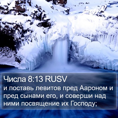 Числа 8:13 RUSV Bible Verse Image