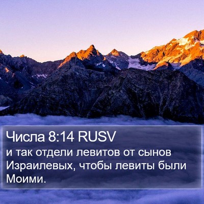 Числа 8:14 RUSV Bible Verse Image