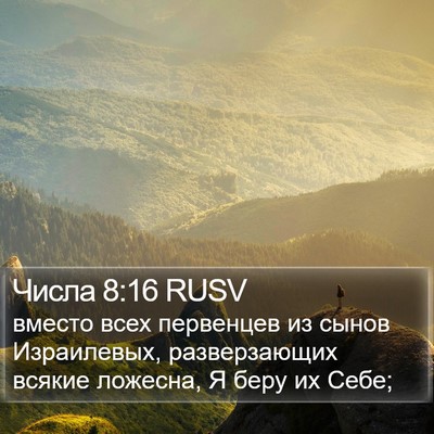 Числа 8:16 RUSV Bible Verse Image