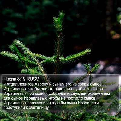 Числа 8:19 RUSV Bible Verse Image