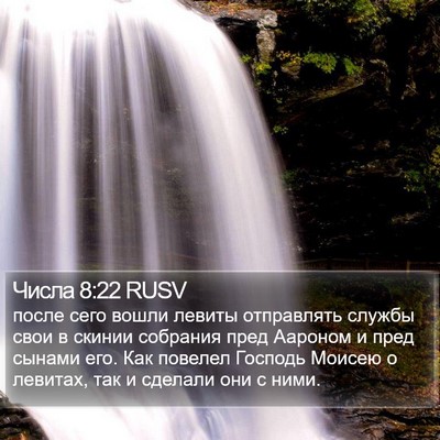 Числа 8:22 RUSV Bible Verse Image