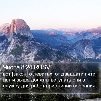 Числа 8:24 RUSV Bible Verse Image