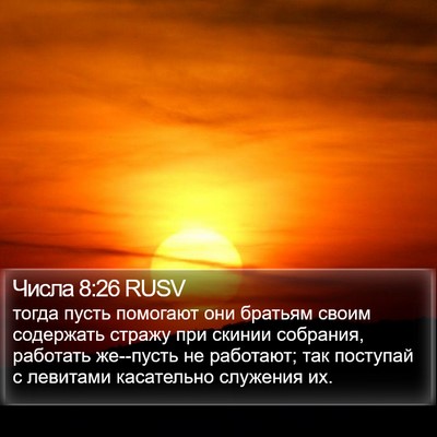 Числа 8:26 RUSV Bible Verse Image