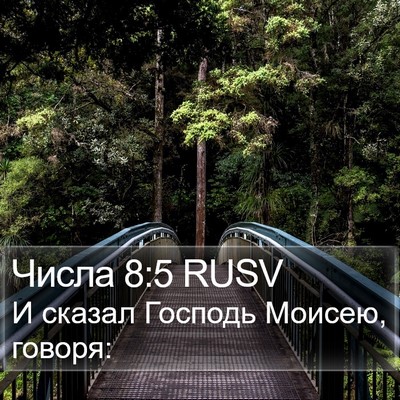 Числа 8:5 RUSV Bible Verse Image