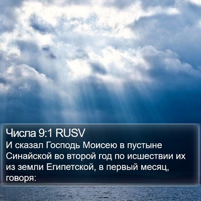 Числа 9:1 RUSV Bible Verse Image