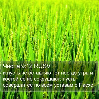 Числа 9:12 RUSV Bible Verse Image