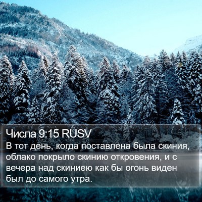 Числа 9:15 RUSV Bible Verse Image