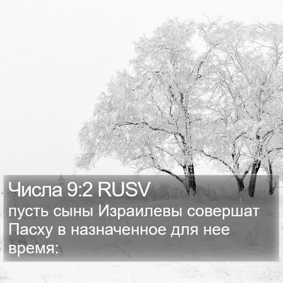 Числа 9:2 RUSV Bible Verse Image